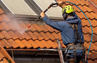 Démoussage et hydrofuge de toiture à Baronnie